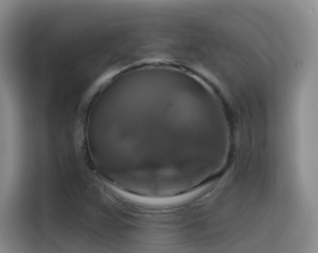 X0000114611359200910201144