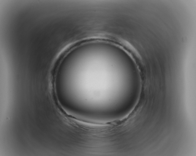 X0000114611360200910201144