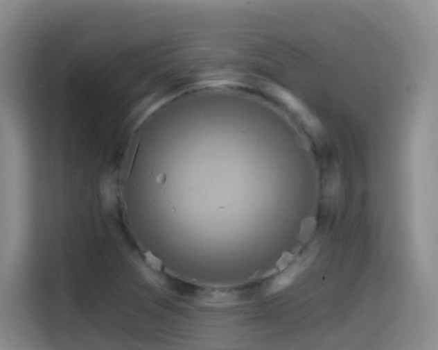 X0000114611361200910201144