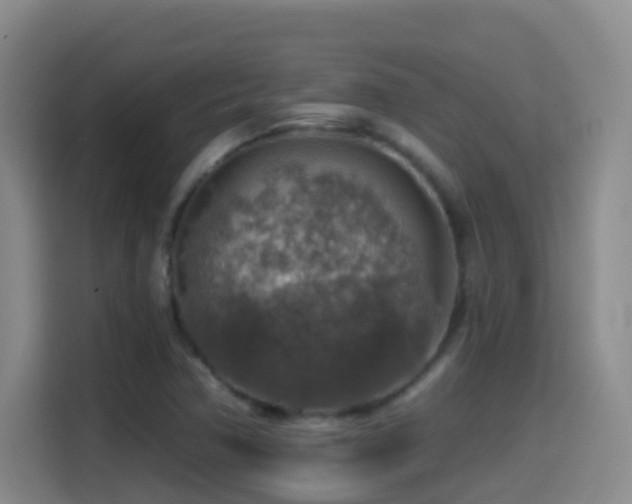 X0000114611362200910201144