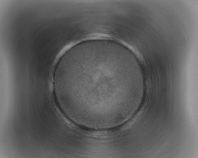 X0000114611363200910201144