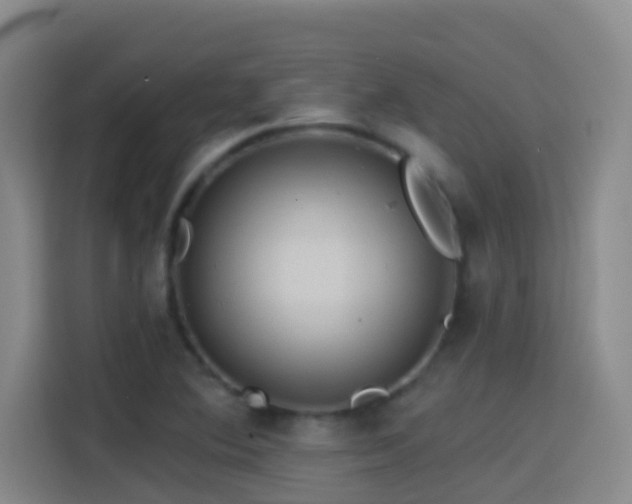 X0000114611364200910201144