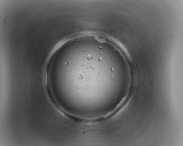 X0000114611365200910201144