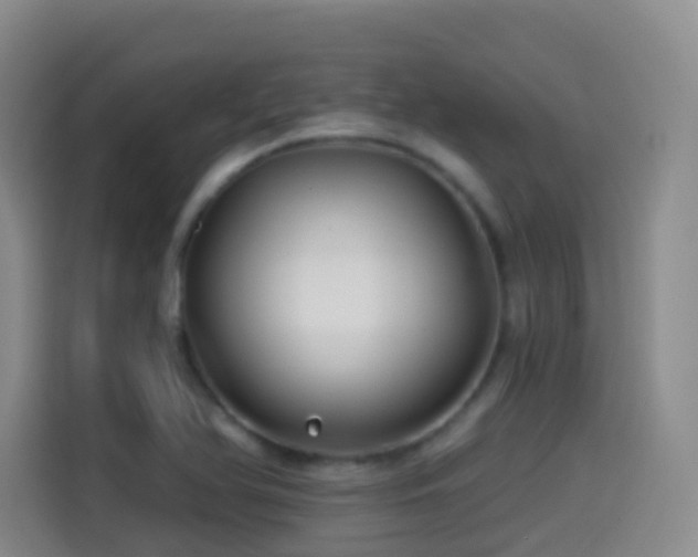 X0000114611366200910201144