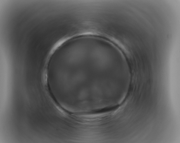 X0000114611367200910201144