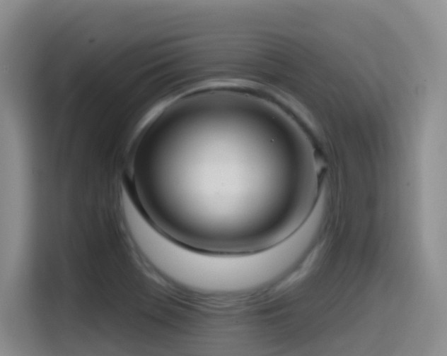 X0000114611369200910201144