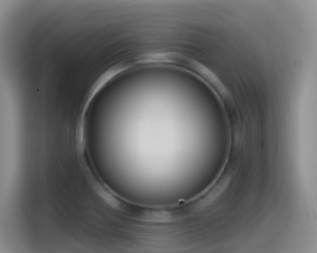 X0000114611370200910201144