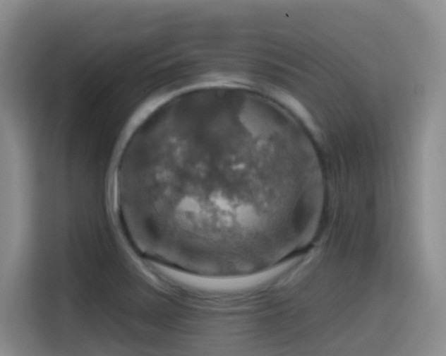 X0000114611371200910201144