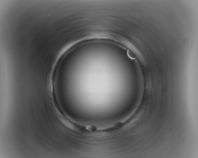 X0000114611372200910201144