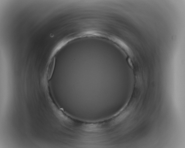 X0000114611373200910201144