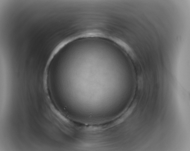 X0000114611374200910201144