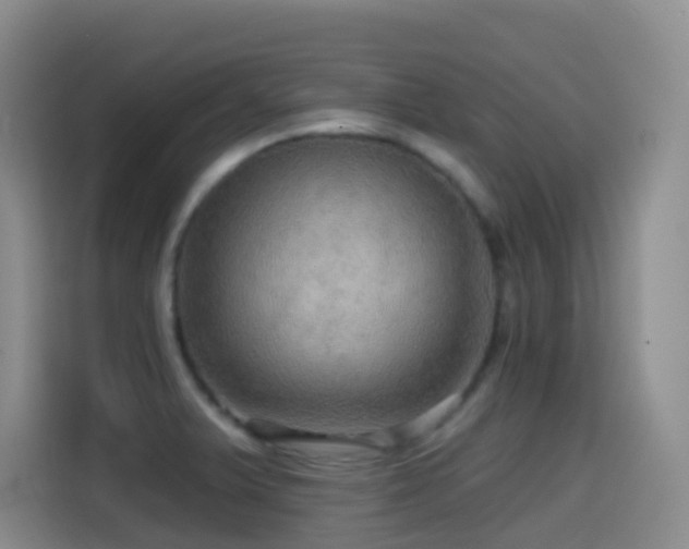 X0000114611375200910201144