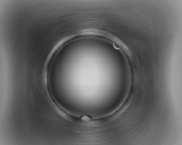 X0000114611376200910201144