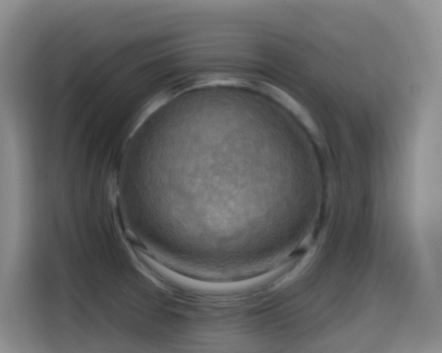 X0000114611377200910201144