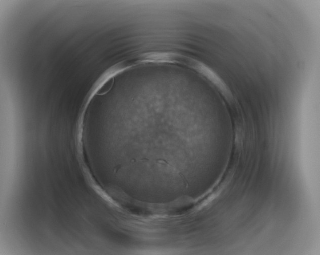 X0000114611378200910201144