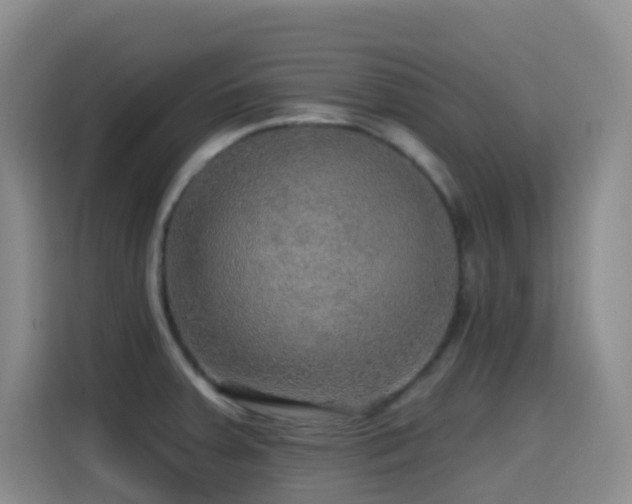 X0000114611379200910201144