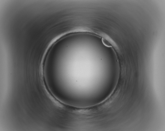 X0000114611380200910201144