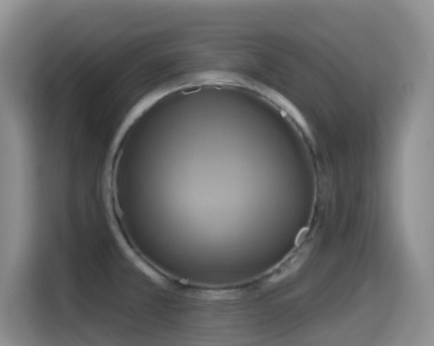 X0000114611381200910201144