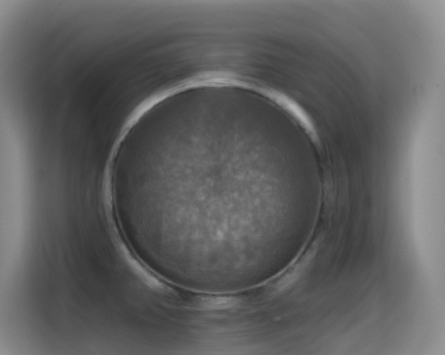 X0000114611382200910201144