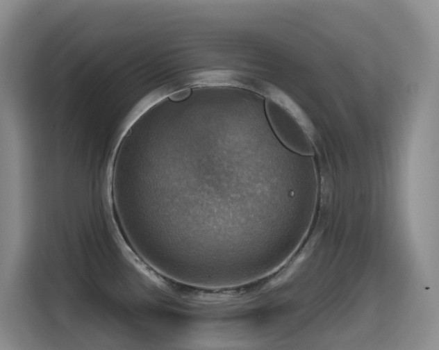 X0000114611386200910201144