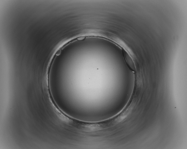 X0000114611388200910201144