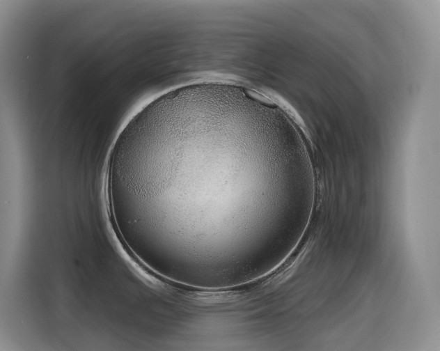 X0000114611391200910201144