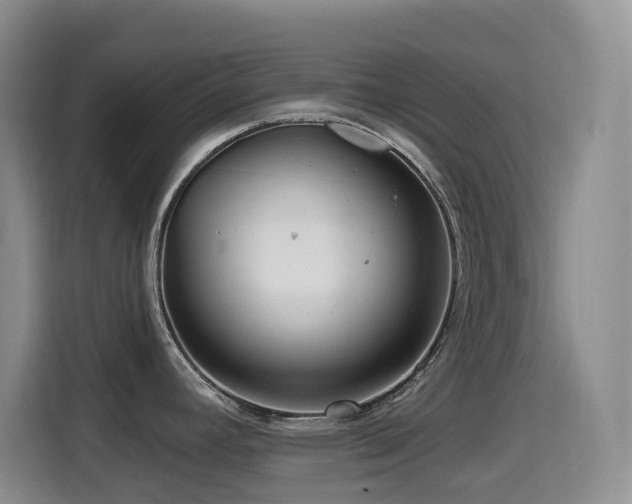 X0000114611392200910201144