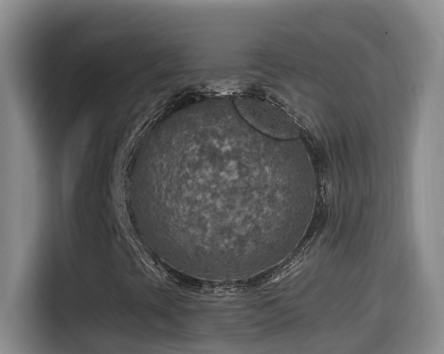 X0000114611393200910201143