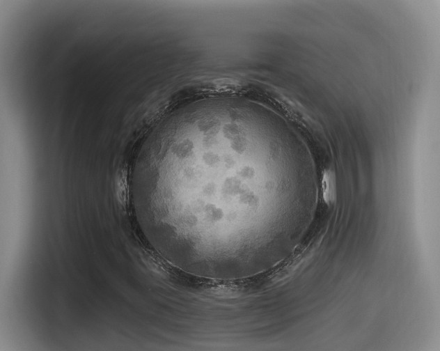 X0000114611395200910201143