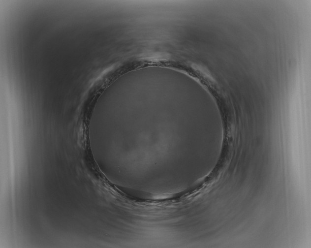 X0000114611398200910201143