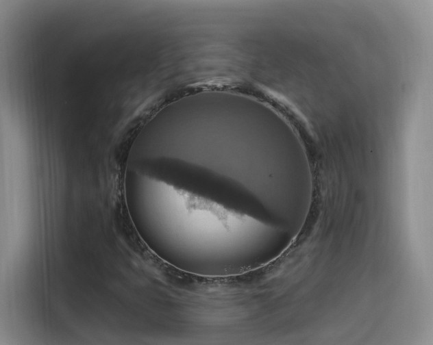 X0000114611399200910201143