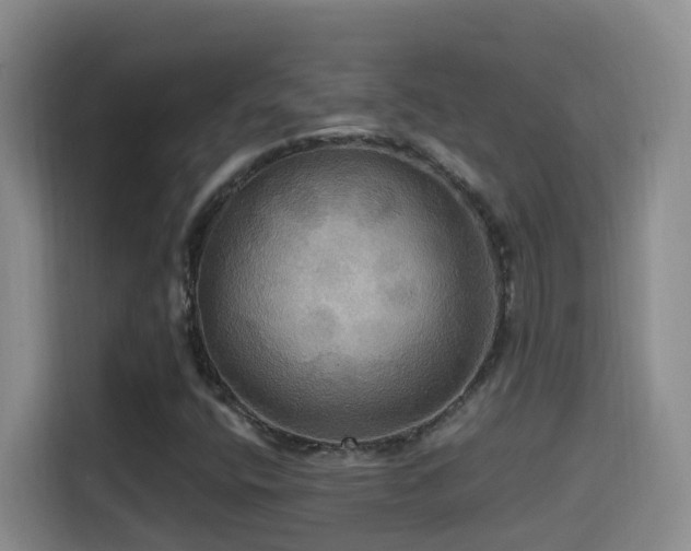 X0000114611400200910201143