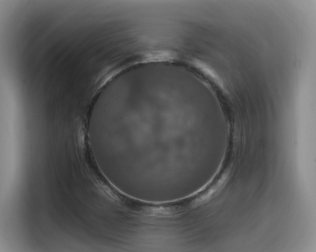 X0000114611401200910201143