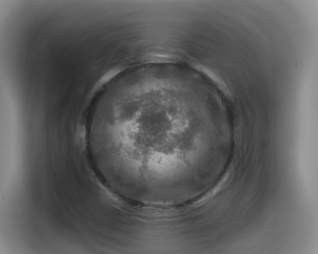 X0000114611402200910201143