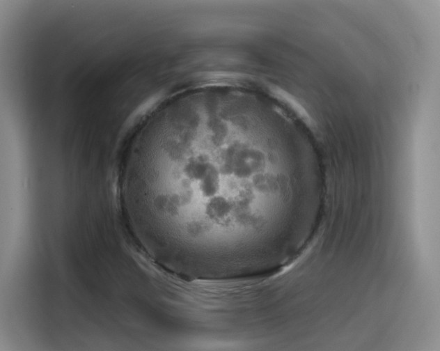 X0000114611403200910201143