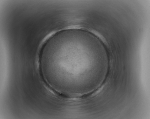 X0000114611406200910201143