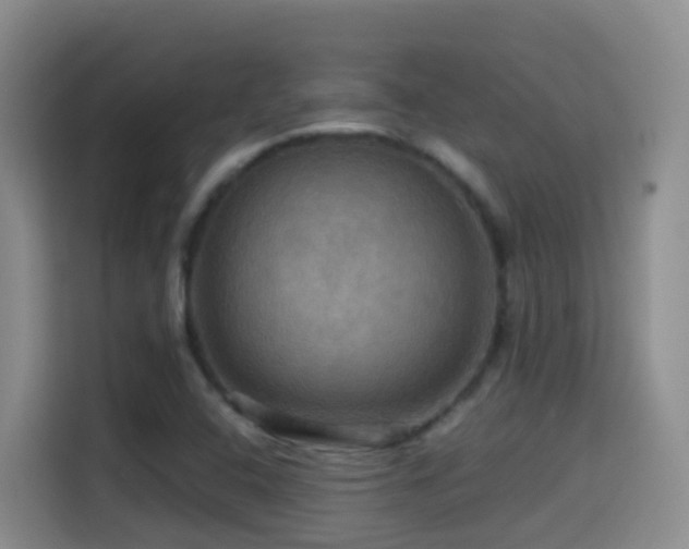 X0000114611408200910201143