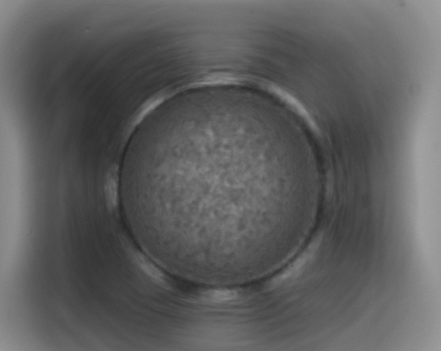 X0000114611409200910201143