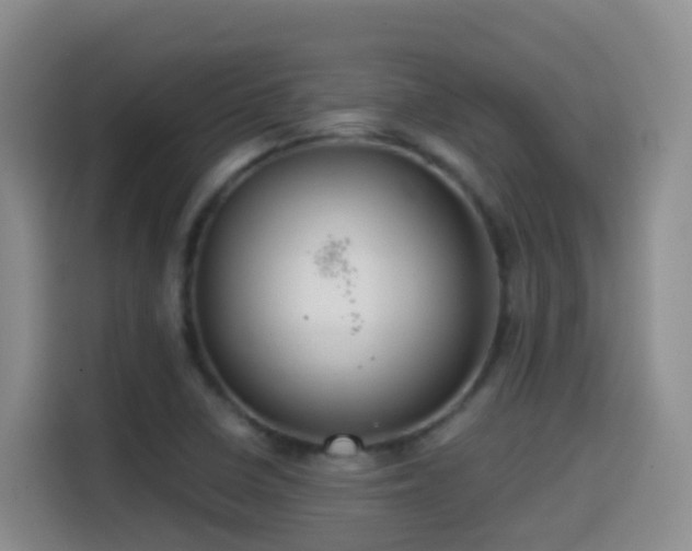 X0000114611410200910201143