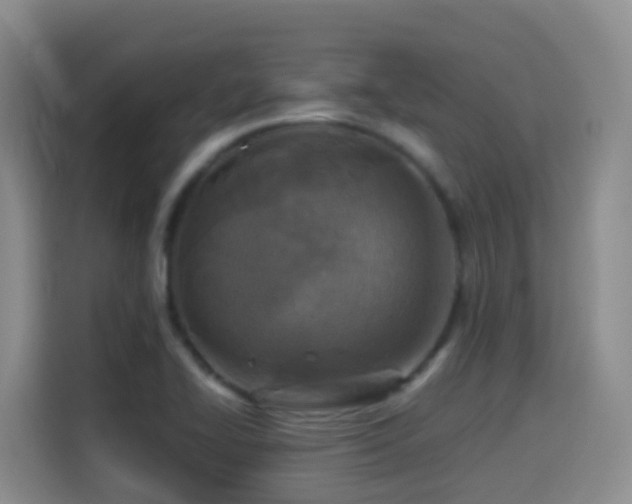 X0000114611414200910201143