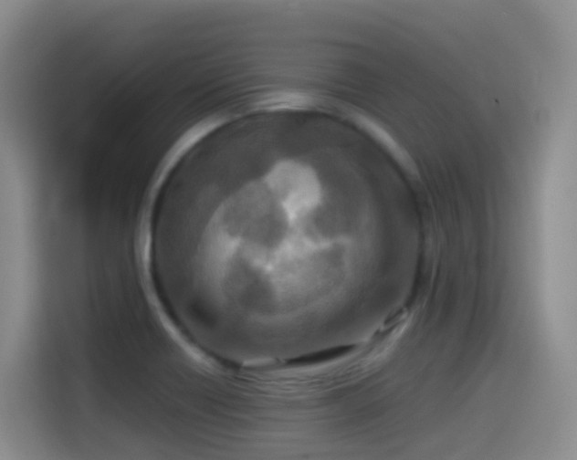 X0000114611418200910201143