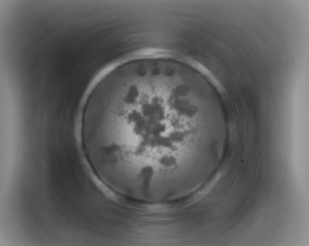 X0000114611421200910201143