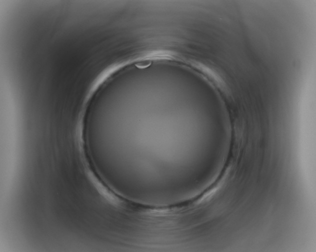 X0000114611422200910201143