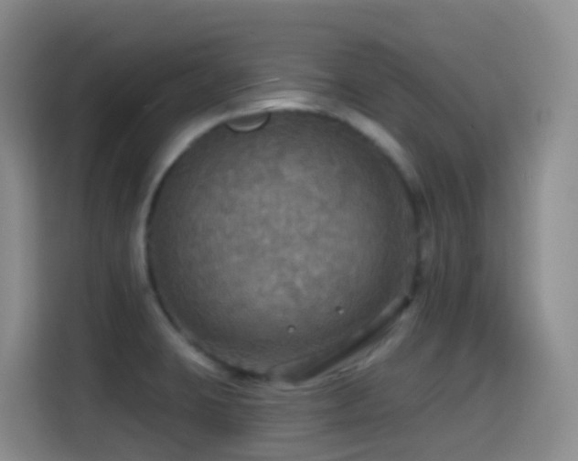 X0000114611423200910201143