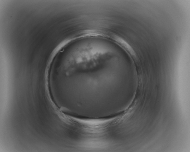 X0000114611427200910201143