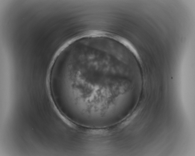 X0000114611429200910201143