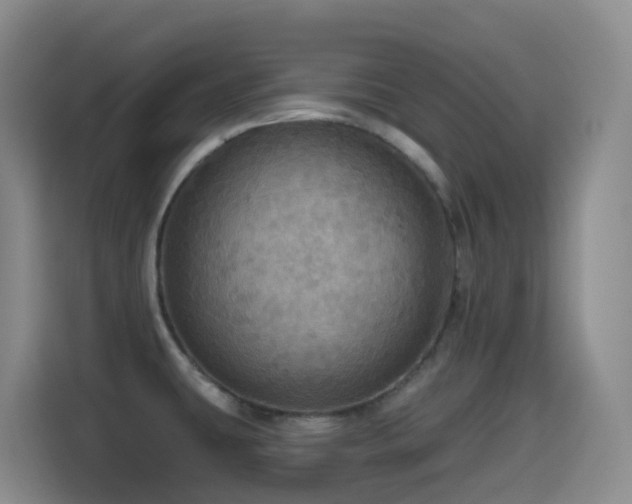 X0000114611431200910201143