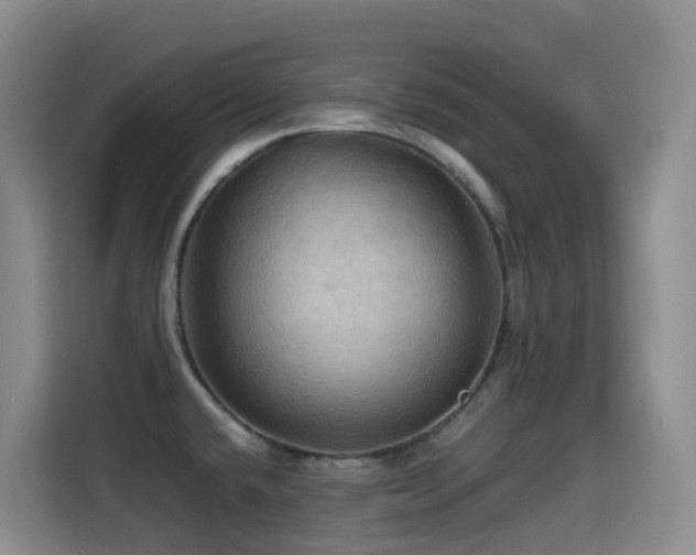 X0000114611432200910201143