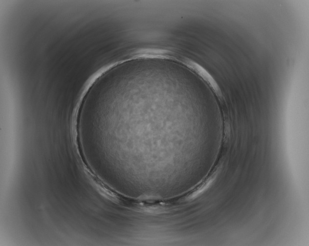 X0000114611435200910201144