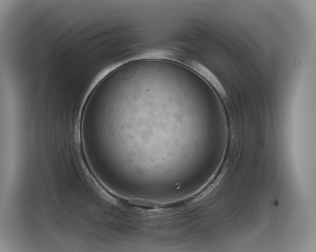 X0000114611436200910201144